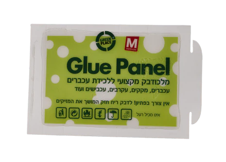 תמונת מוצר 1