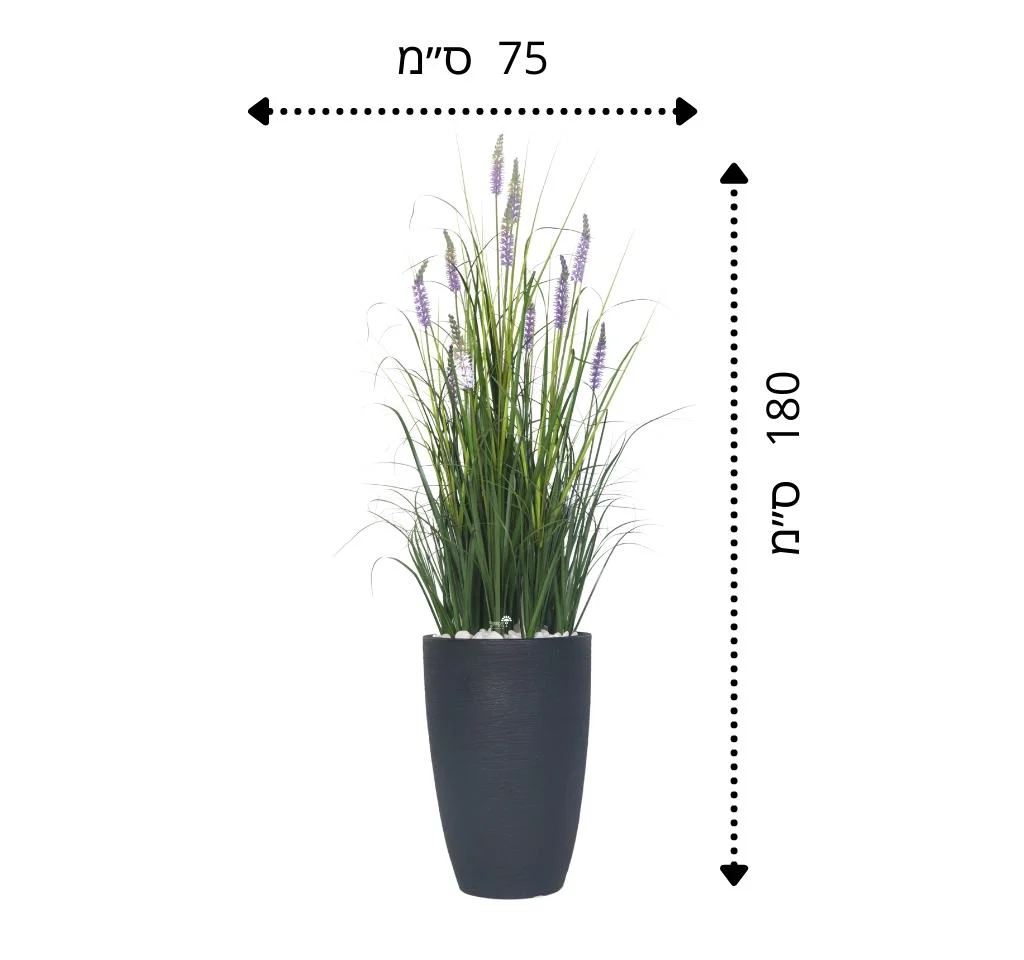 תמונת מוצר 2
