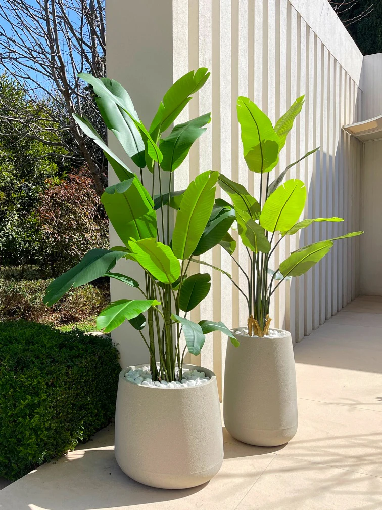 תמונה ממוזערת 1