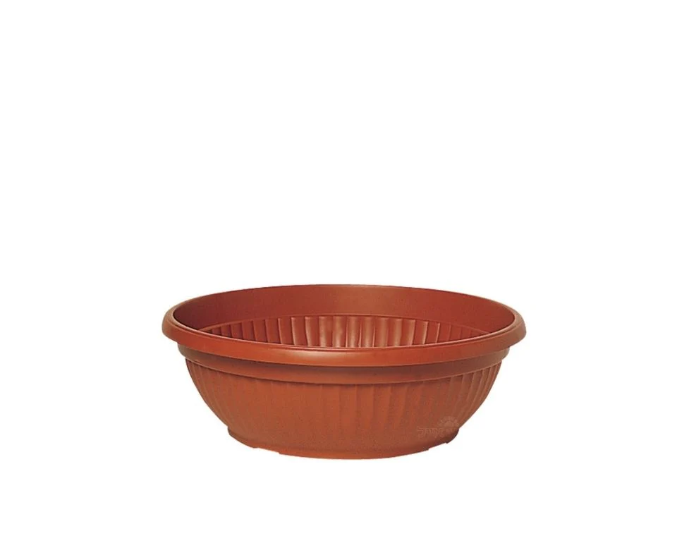 תמונה ממוזערת 1
