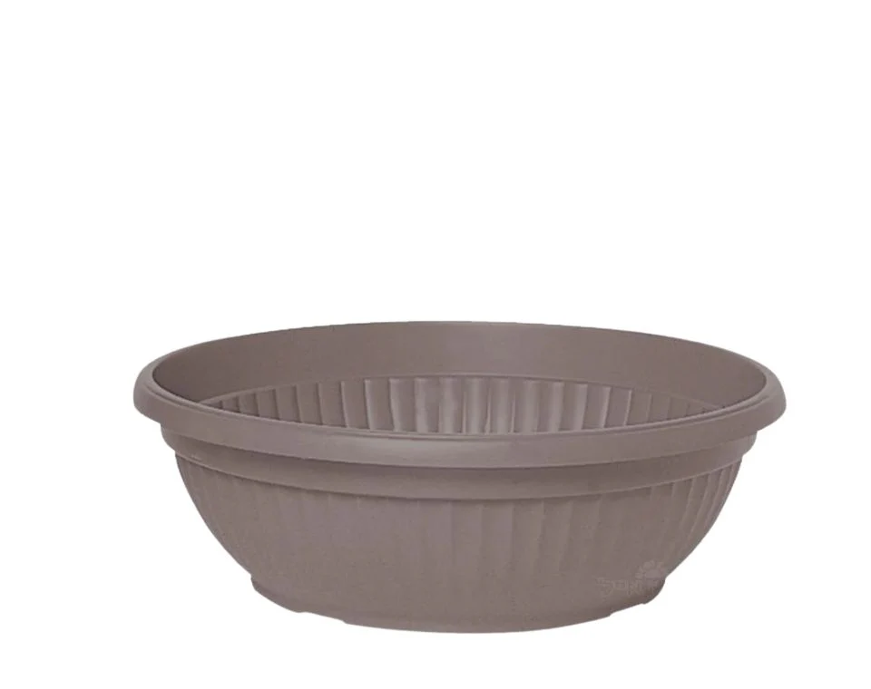 תמונה ממוזערת 1