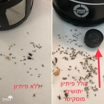 תמונת מוצר 3